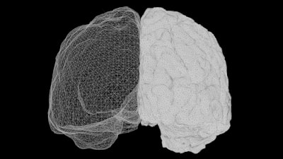 Cómo los modelos de difusión superan a los autorregresivos en radiología