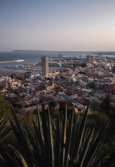 Top 3 empresas de RPA con IA en Alicante
