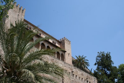 Top 30 Expertos en integración de sistemas en Palma