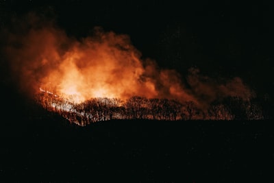 Inferencia neural gráfica probabilística para logística de evacuación de incendios forestales con restricciones de políticas en tiempo real