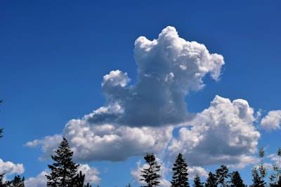 The Sustainable and Developer-Friendly Medjed AI: Your Expected GPU Cloud