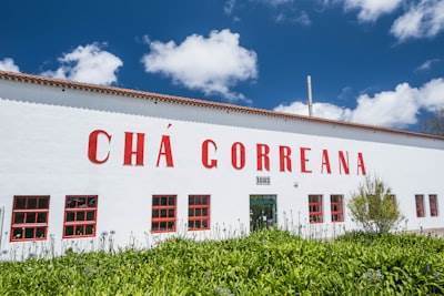 Servicios de IA en Caravaca de la Cruz