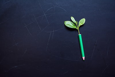 El dilema de la sostenibilidad en la IA: Zero-shot learning vs Few-shot learning