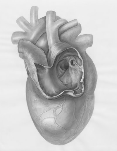 Un punto de referencia unificado para evaluar humanos y LLMs en diálogos de apoyo emocional
