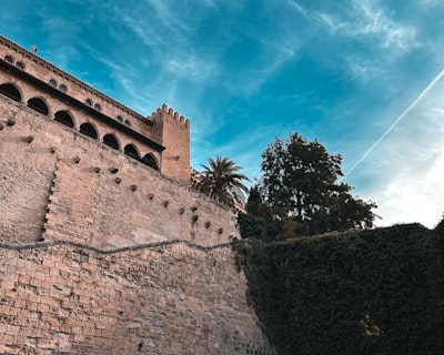La mejor integración de almacén de datos en Palma