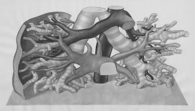 Modelos biofísicos de regulación génica con flujo de probabilidad