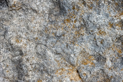 Identificar acuerdos en explicaciones basadas en características