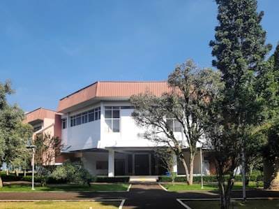 Desarrollo de inteligencia artificial en Santa Cruz de Tenerife
