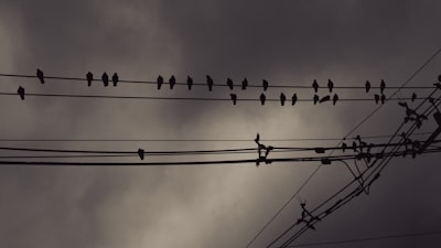 La nueva era de la red: IA, agentes y DevOps del control