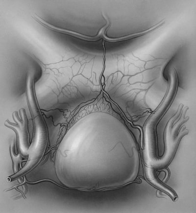 Enrutamiento forense y fusión de evidencia adaptativa para detección de manipulación de imágenes