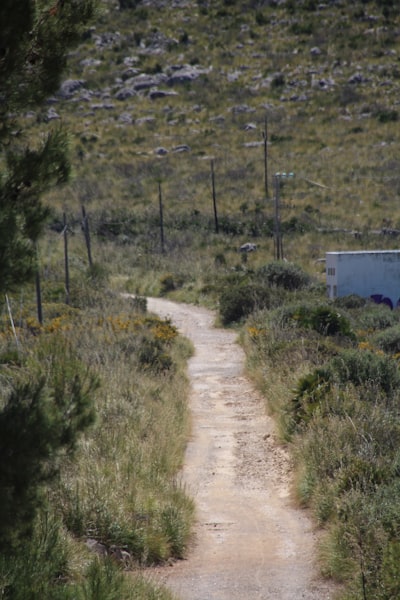 Rutas hacia la AGI