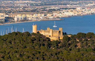 Socio consultor oficial de n8n en Palma