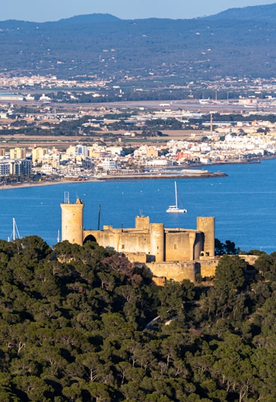 Top 15 expertos en desarrollo de apps de IA en Palma