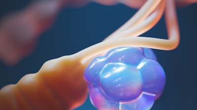 AI Model Strays Risk and Guides Treatment in Hepatocellular Carcinoma