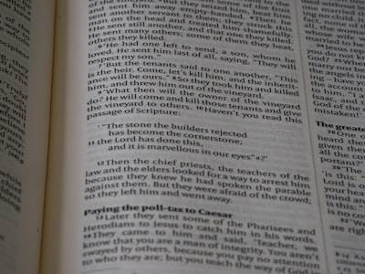 What is Batch Production: Definition, Working, and Detailed Examples