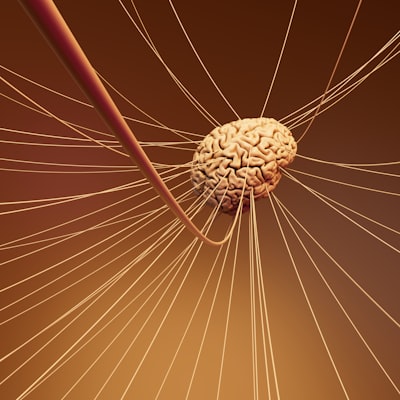 Descubrimiento de patrones de comunicación en redes cerebrales