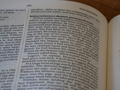 Learning Dictionary under Symmetries through Group Representations
