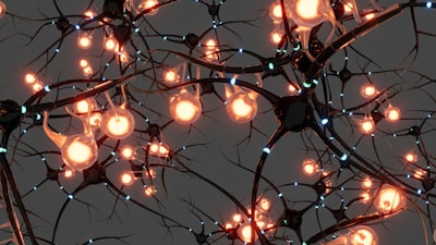 Predicción dinámica de enlaces con redes neuronales de grafos temporales con signo