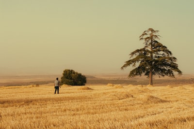 Las 5 mejores películas nuevas esta semana