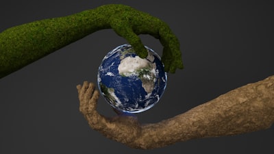 Cómo los servicios de desarrollo tecnológico pueden apoyar los objetivos ambientales