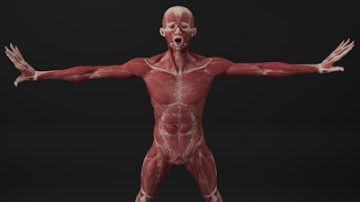 BlazePose: Real-Time Body Pose Tracking on Device
