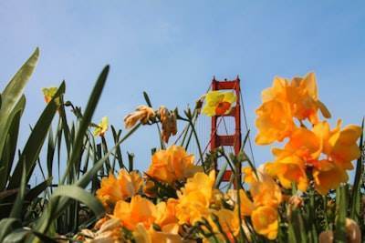 Las mejores empresas para desarrollo de aplicaciones en Santa Cruz de Tenerife