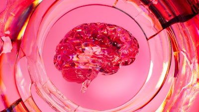 Mejora de predicción de tumores renales malignos con aprendizaje profundo 3D.