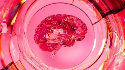 ¡Impactantes pruebas de implantes cerebrales de Paradromics aprobadas por la FDA!