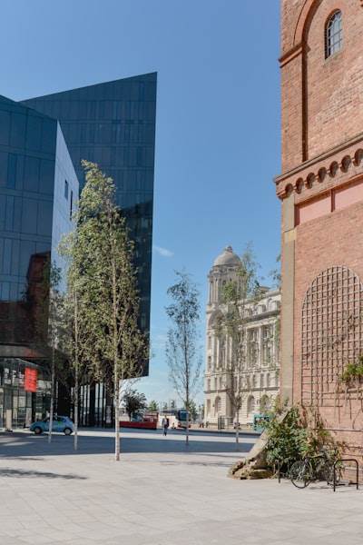 Mejores empresas de desarollo de IA en Castellón de la Plana
