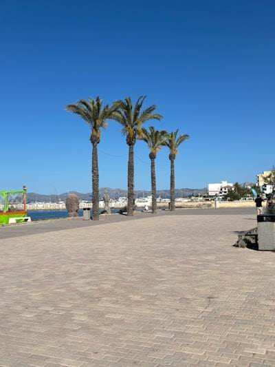 Software de calidad en Ceuta