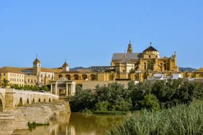 Top 50 Empresas Desarrollo Web Córdoba