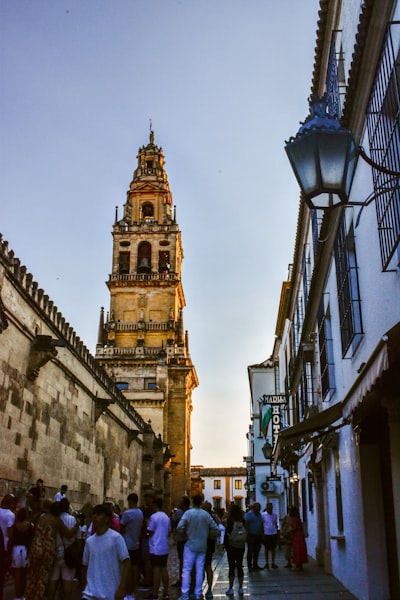 Mejores empresas de software para negocios en Córdoba