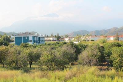 Top 20 Empresas de n8n en San Vicente del Raspeig