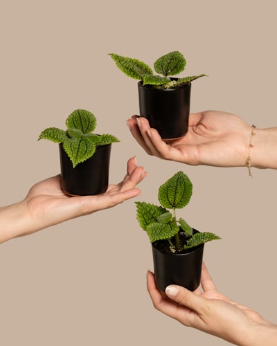Automatización de flujos de ventas para objetivos ambientales.