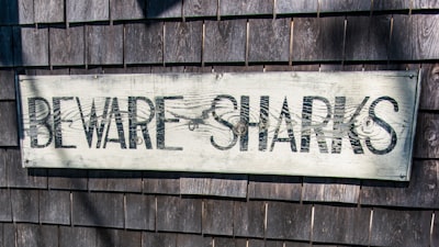 Cómo la búsqueda de SharePoint impulsada por IA prepara su organización para el futuro