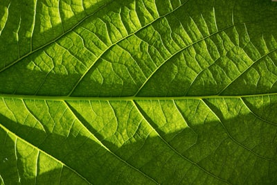 ¿Cómo la modernización del software heredado apoya los objetivos ambientales?