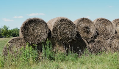 Cómo un sistema multiagente con Haystack potencia la detección, investigación y revisión de incidentes de producción.