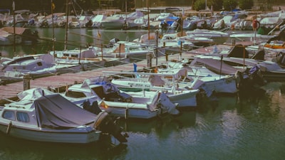 Robots de Instagram en Palma