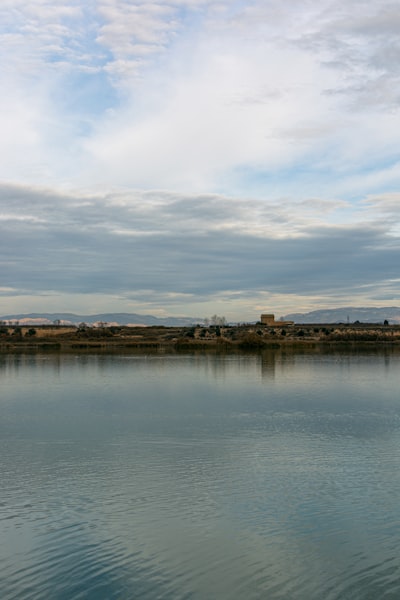 Empresa de apps en Lleida