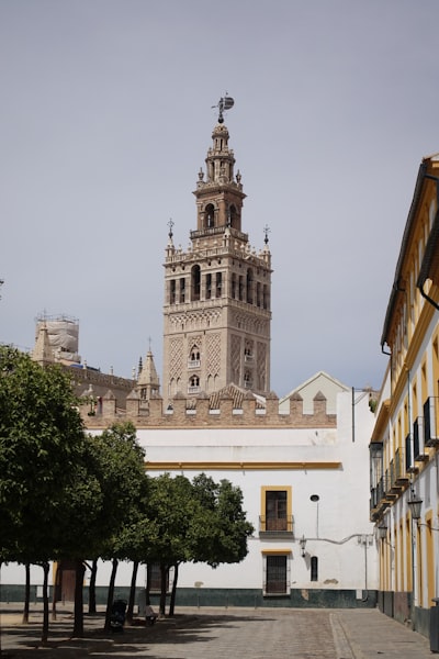 Optimiza tu tiempo con informes automatizados en Sevilla