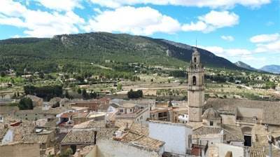 Bots de Instagram en Segovia