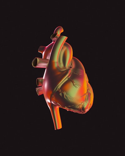 IA y gemelos digitales para cardiología personalizada