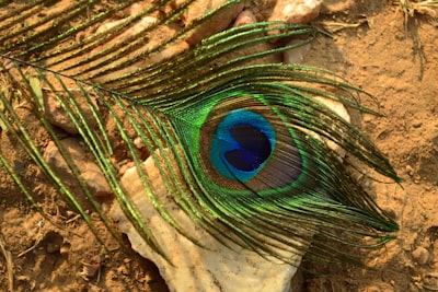 Hacia un Vision Transformer más profundo