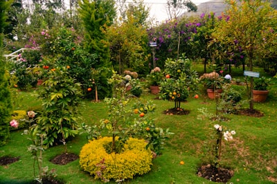 Sistema de gestión de empresas de jardinería en varios idiomas