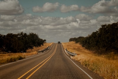 Vulnerabilidad en sistema de licencias del gobierno de Texas