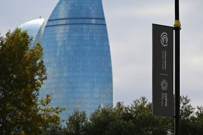 Por qué las empresas SaaS en Madrid eligen Power BI en 2024