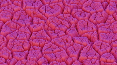 Optimización de camuflaje adversarial con Voronoi