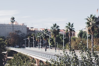 Aplicaciones personalizadas para aumentar la productividad en Valencia