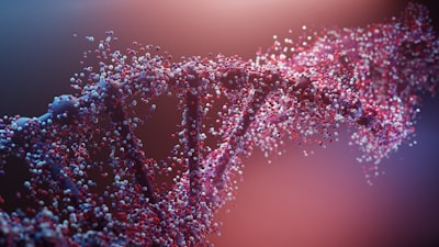 MOGKAN: nuevo framework para clasificación de 31 tipos de cáncer