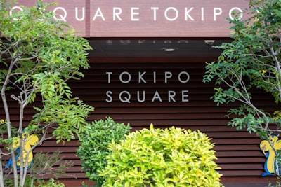 Top 5 Consultoras de Software en Totana